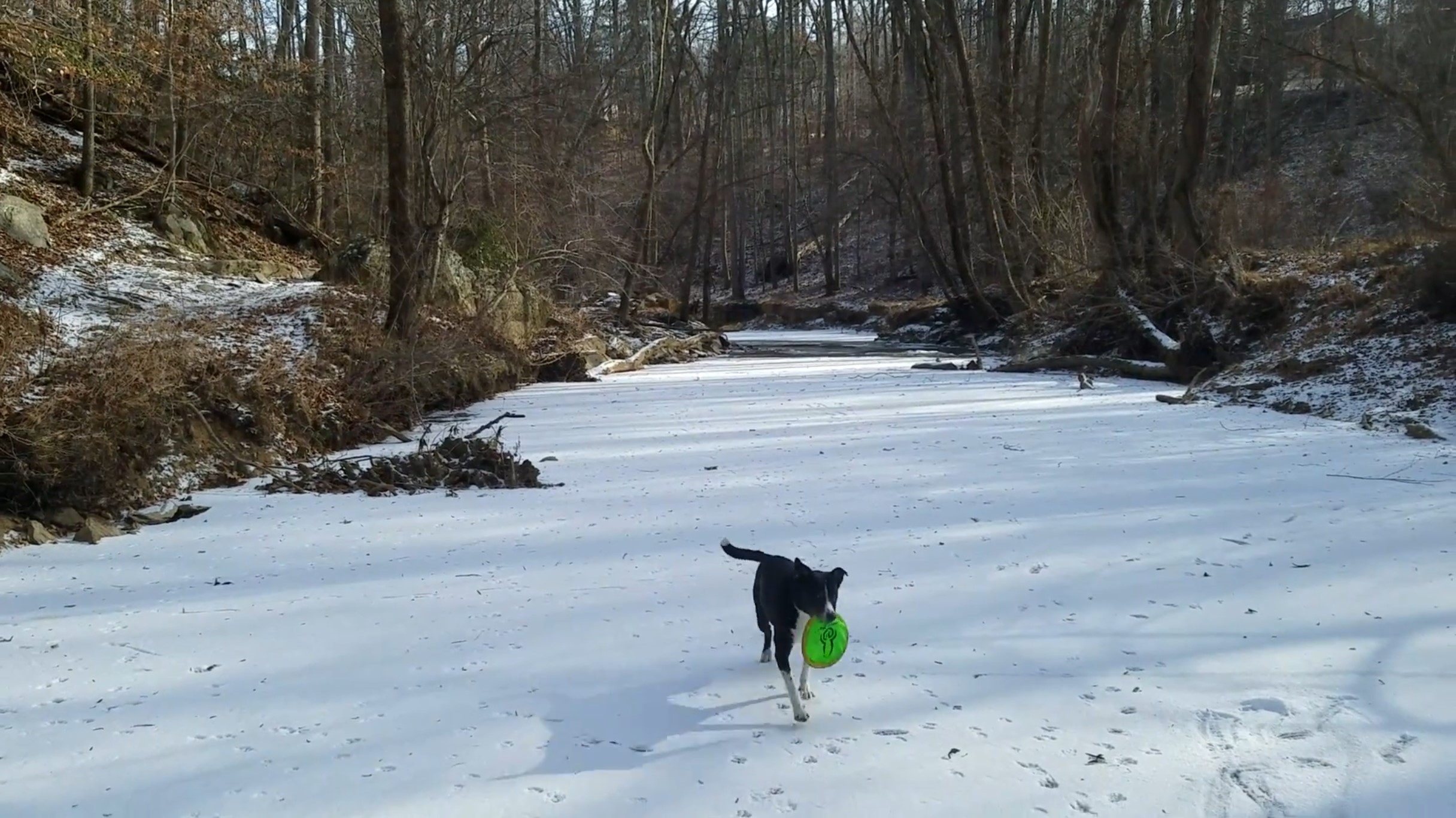 Fetching on Frozen Difficult Run